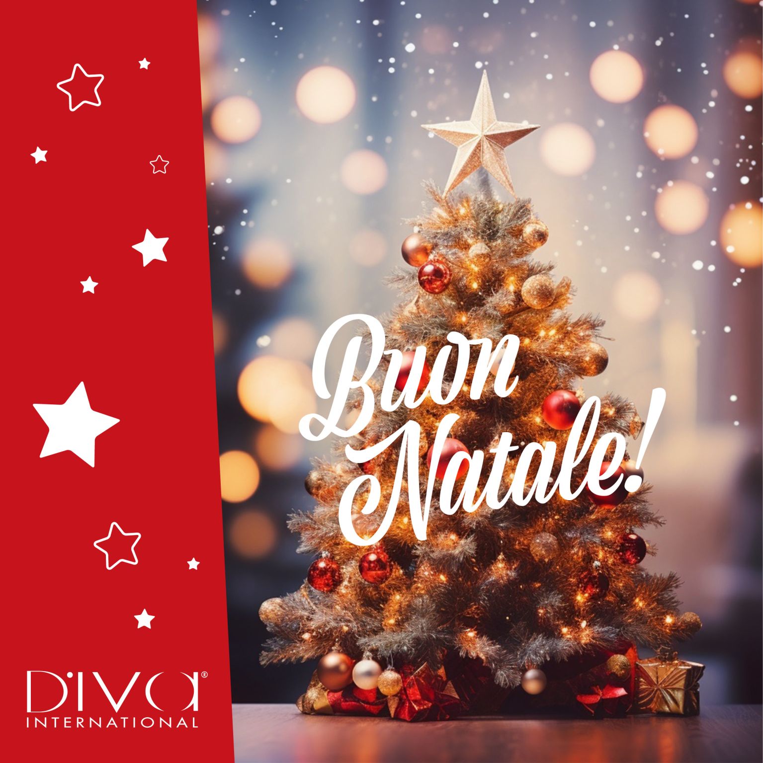 Buone Feste da Diva International: Pronti a Crescere Insieme nel 2025!